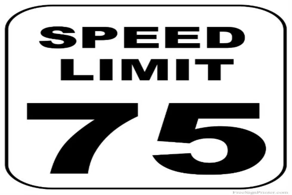Michigan House of Reps Votes to Raise Speed Limit