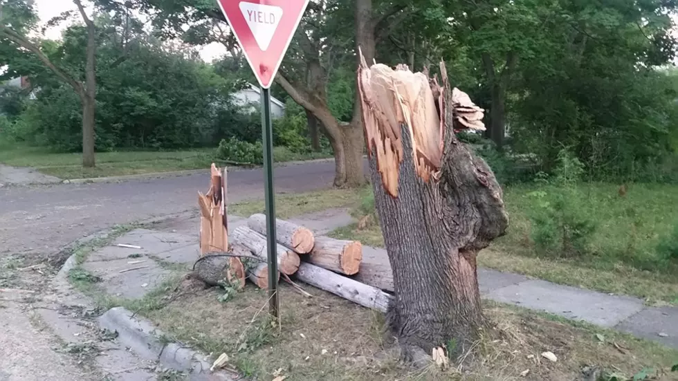 Clean Up From Friday’s Greater Lansing Storm Still Underway