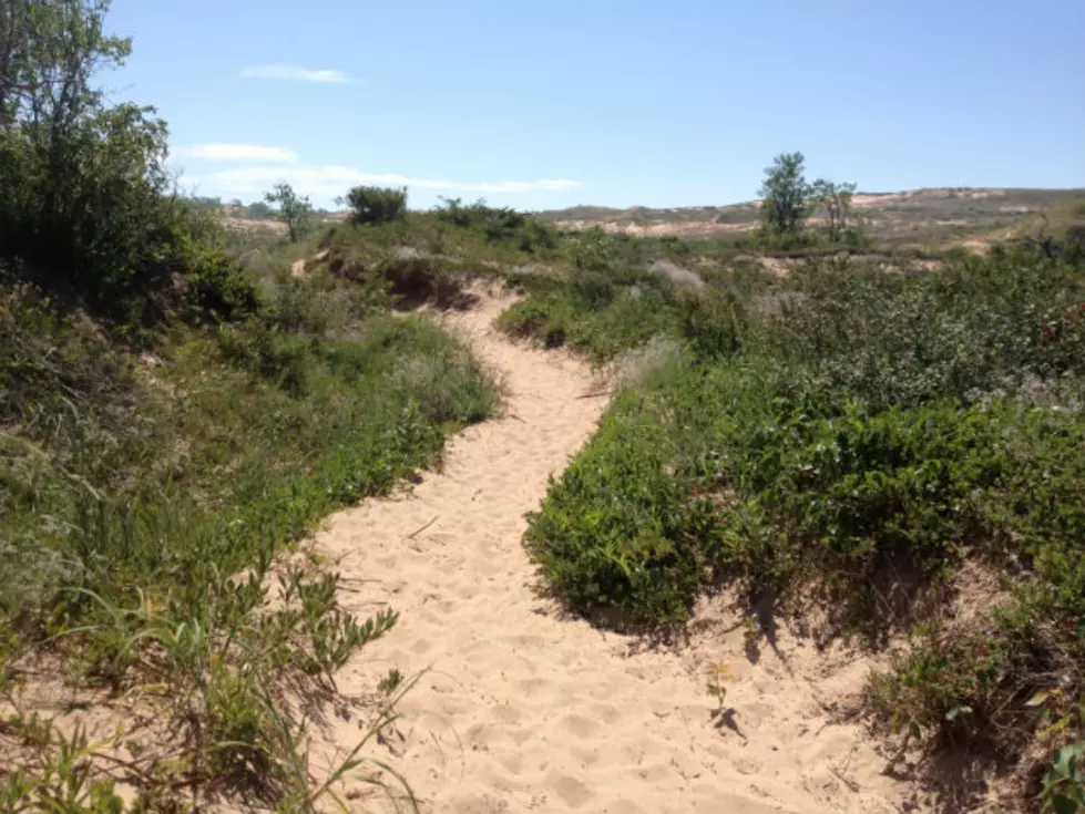 Man Goes Over Dune