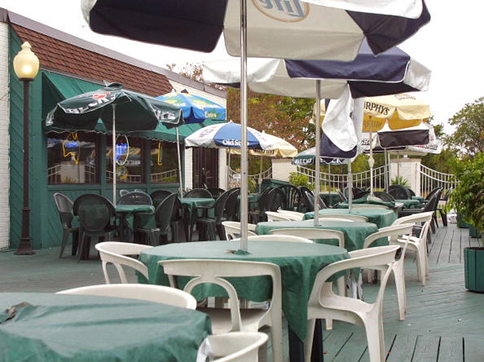 Dogs May Soon Be Allowed on Michigan Restaurant Patios