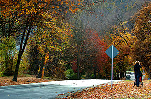 Clinton County Lists Top Fall Scenic Roadways