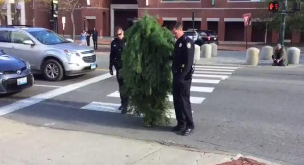 Man Dressed As Tree Arrested for Blocking Traffic