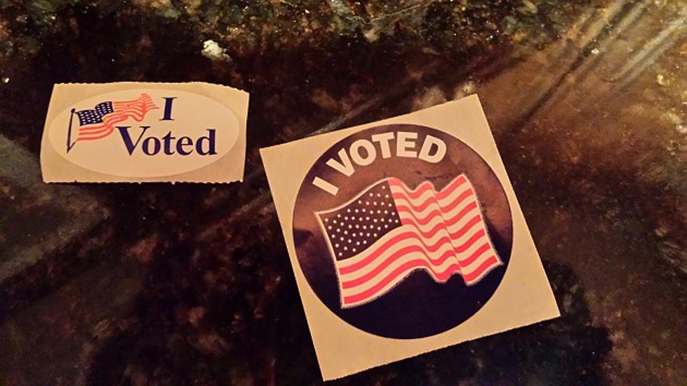 Some Michigan Voters Behaved Badly at the Polls