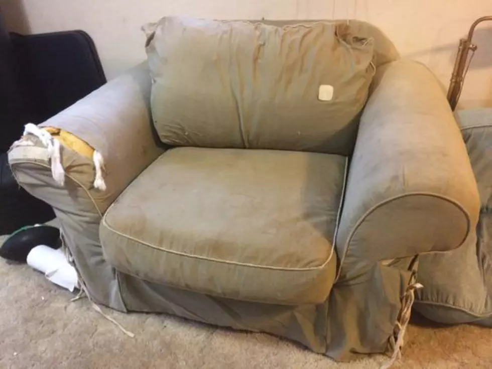 Old Chair Needs New Forever Home
