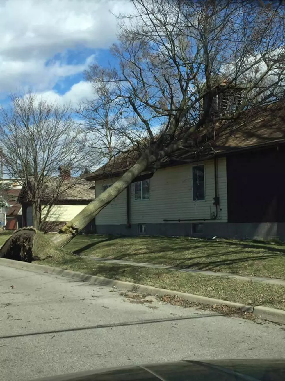 Lights Out, Trees Down, Wind Isn&#8217;t Slowing Down