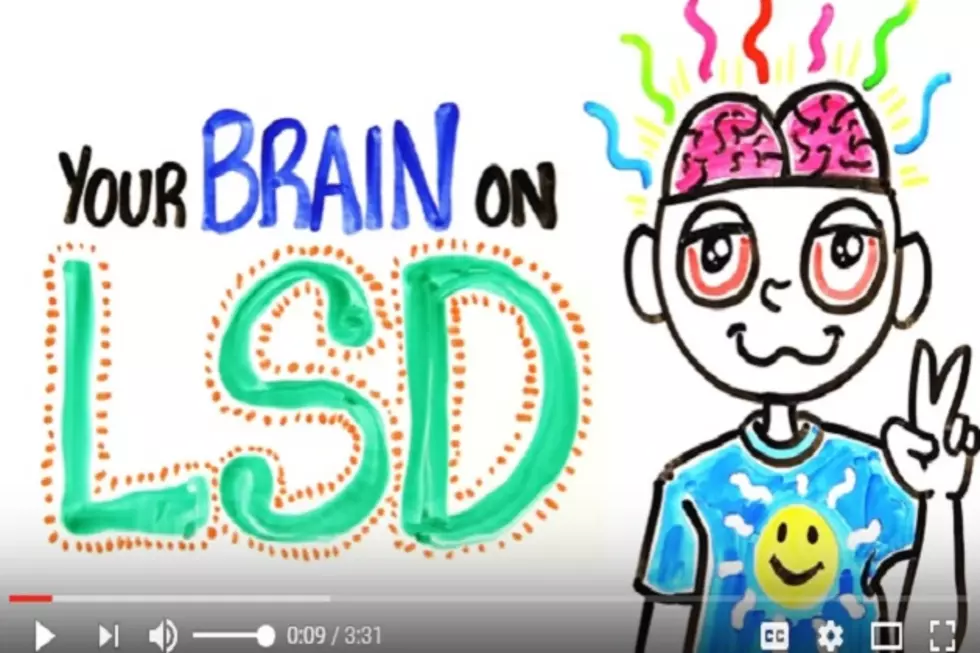 AsapScience Explains Your Brain on LSD