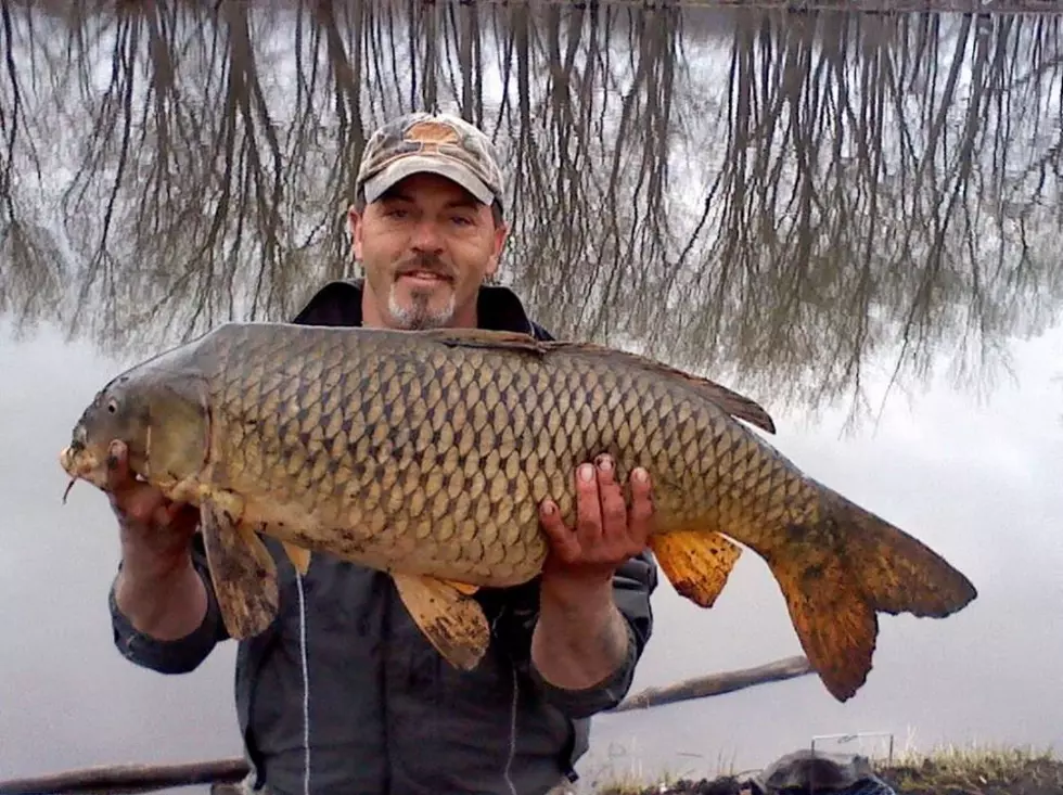 Record Setting Carp Caught by 10 Year Old Boy