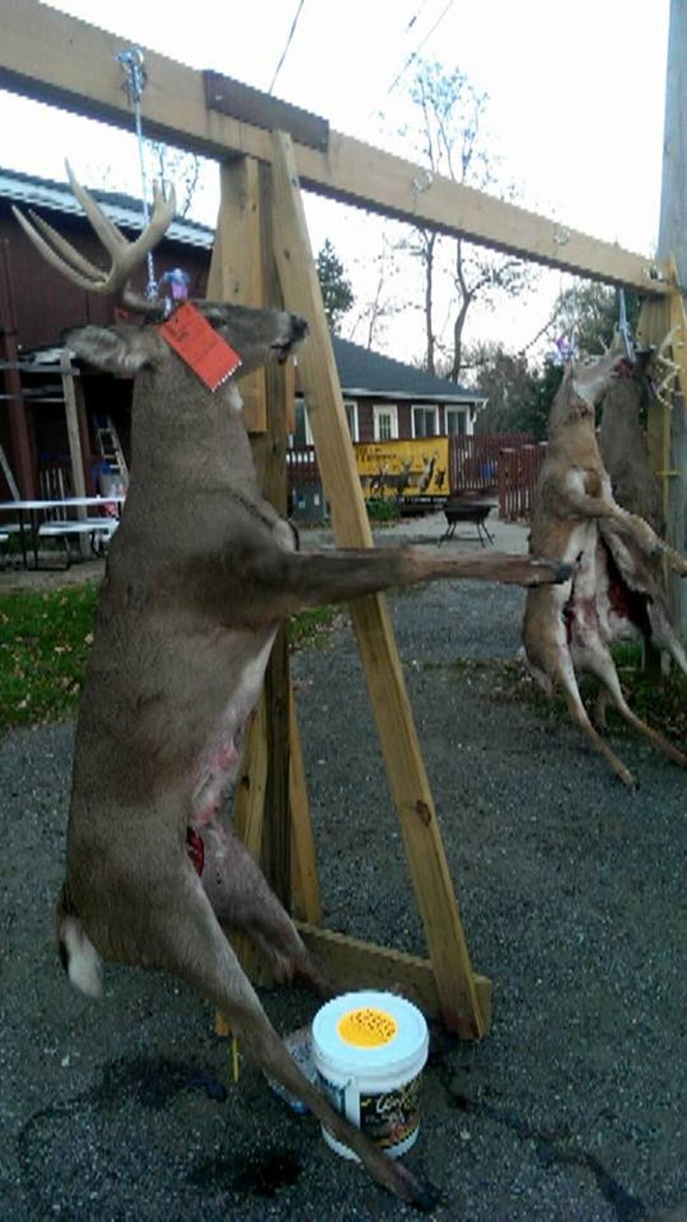 Pole Barn Deer Processors Will Need To Be Licensed