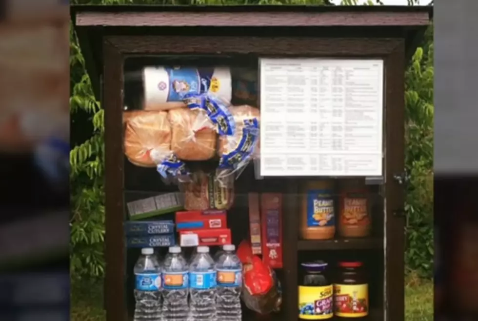 Is There a “Little Food Pantry” in Your Greater Lansing Neighborhood?