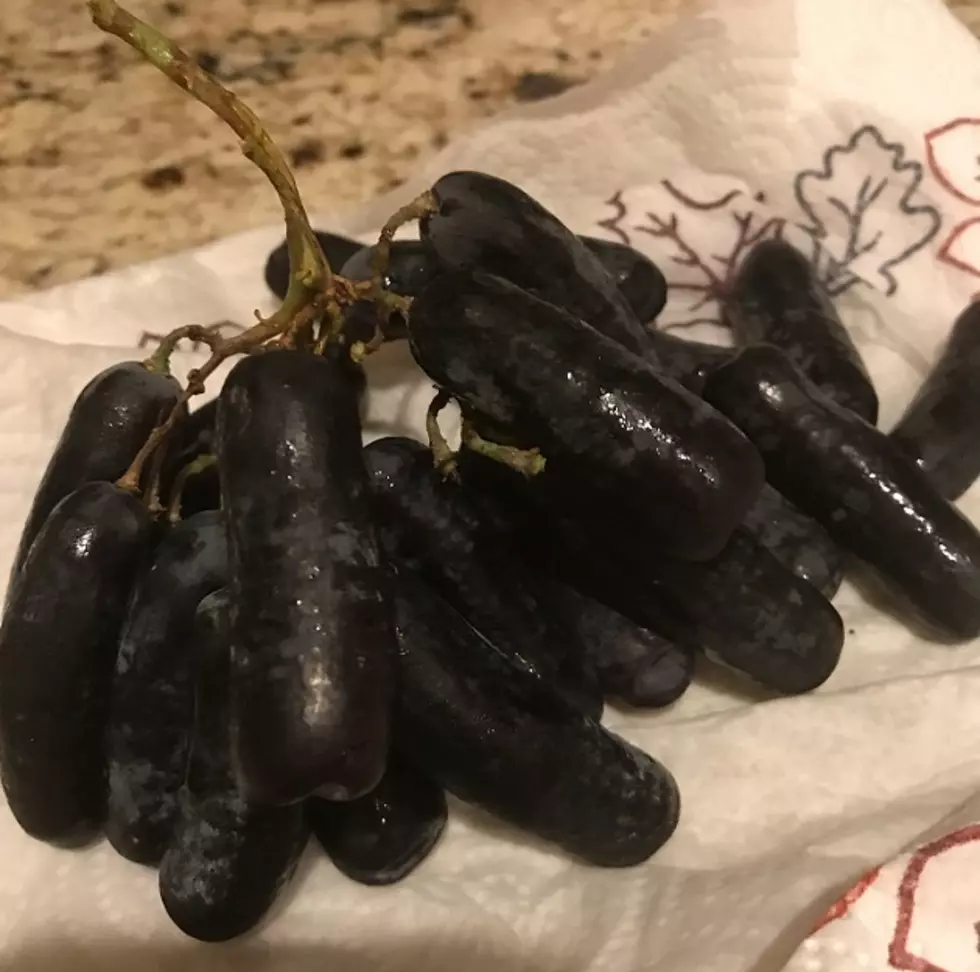“Unusual” Grapes Purchased at Greater Lansing Grocery