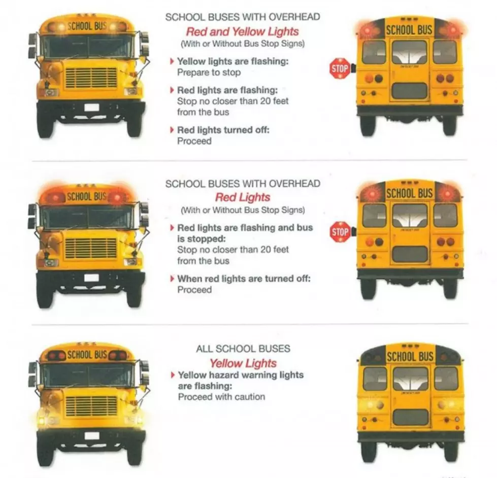 School Bus Rules – They’re Watching For You in Holt!