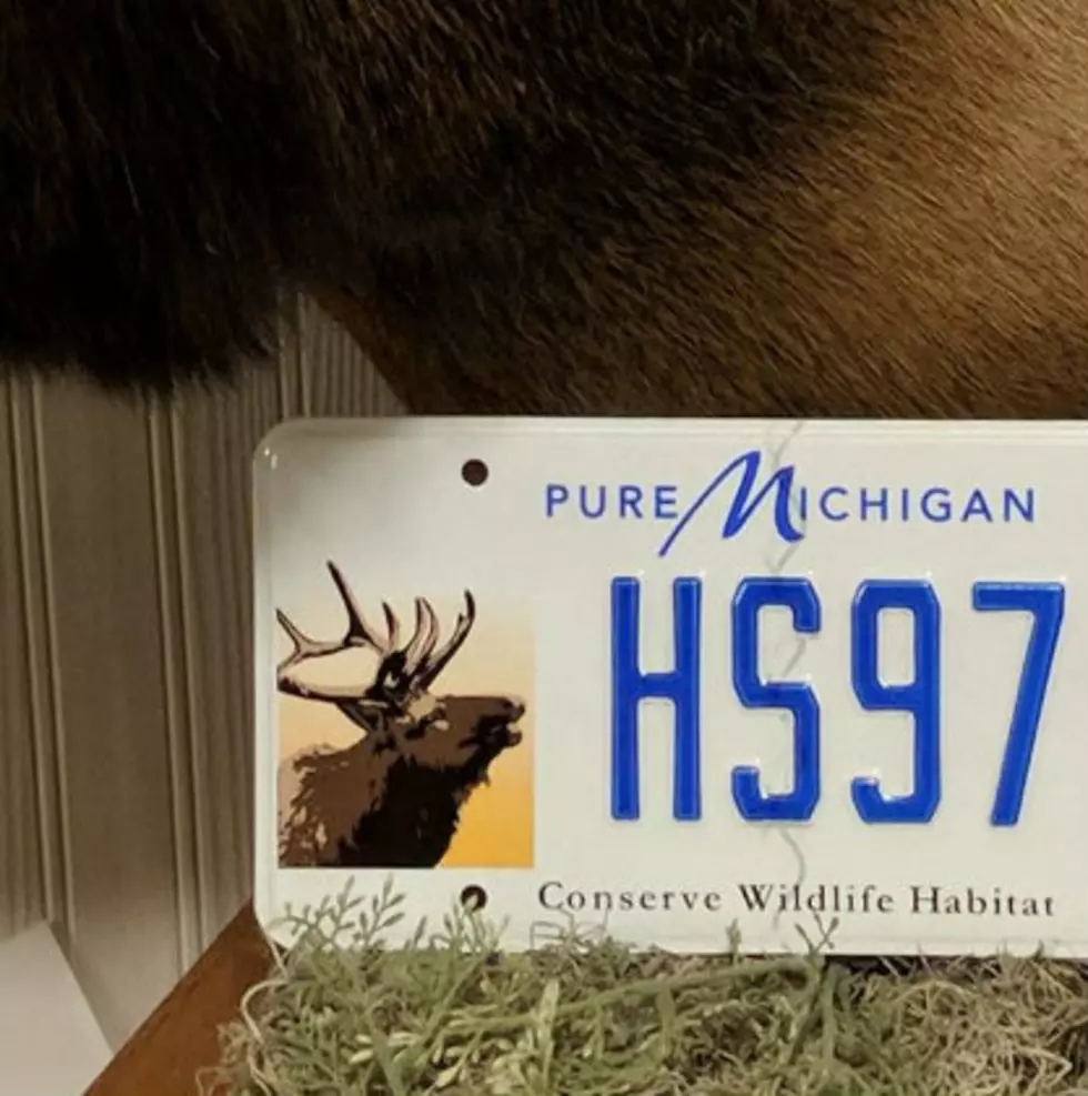 New License Plate Finally Available