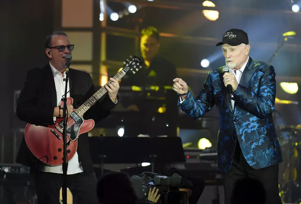 The Beach Boys Are Bringing Summer Vibes To Michigan
