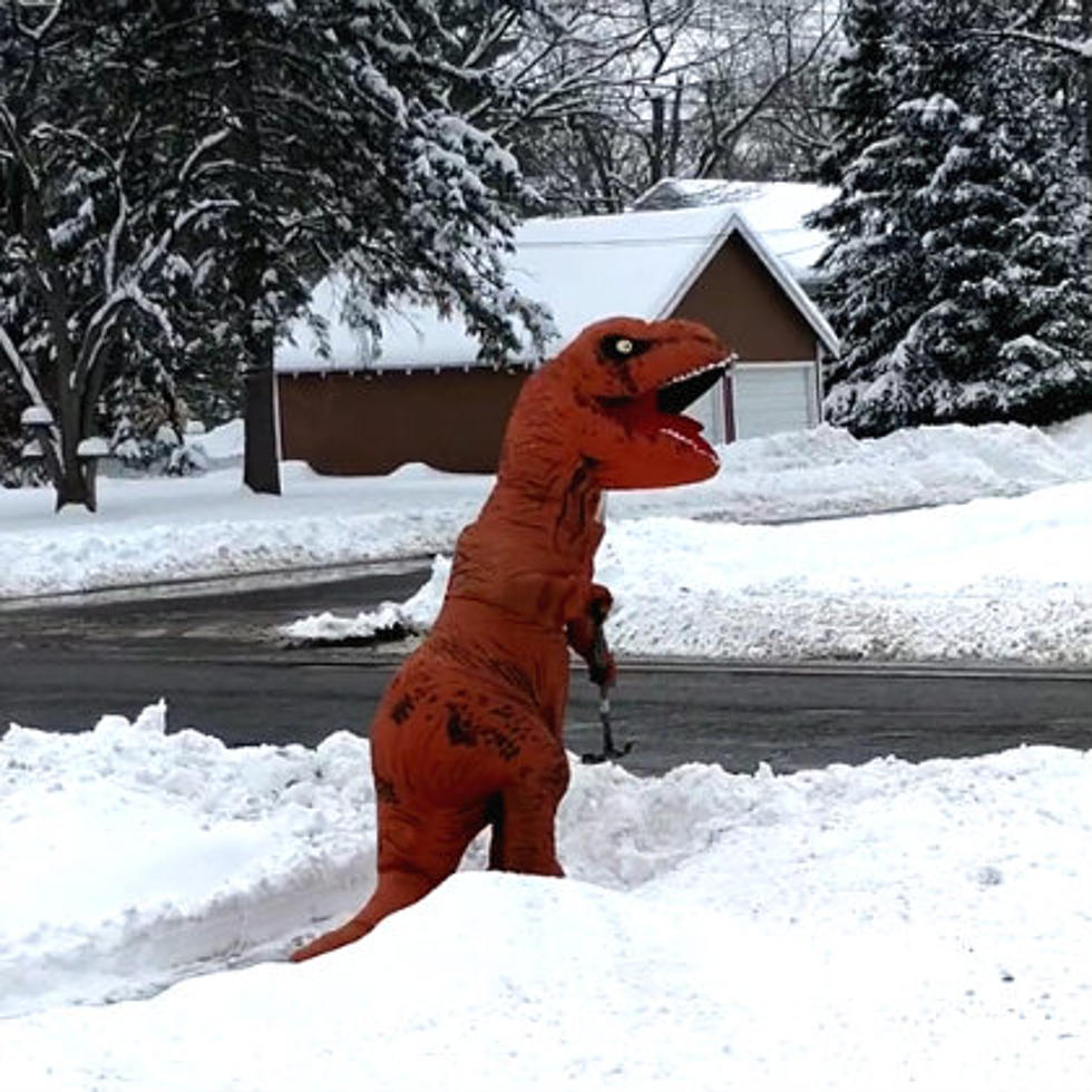 Snow Shoveling T Rex Spotted IN Potterville!