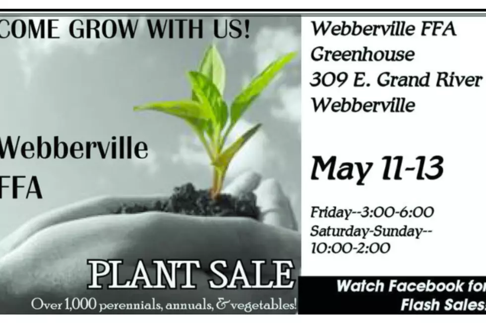 Webberville FFA Plant Sale Begins Today-Sunday