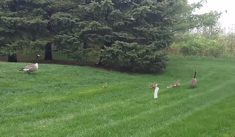 WMMQ Residents Make Monday Morning Meeting More Entertaining