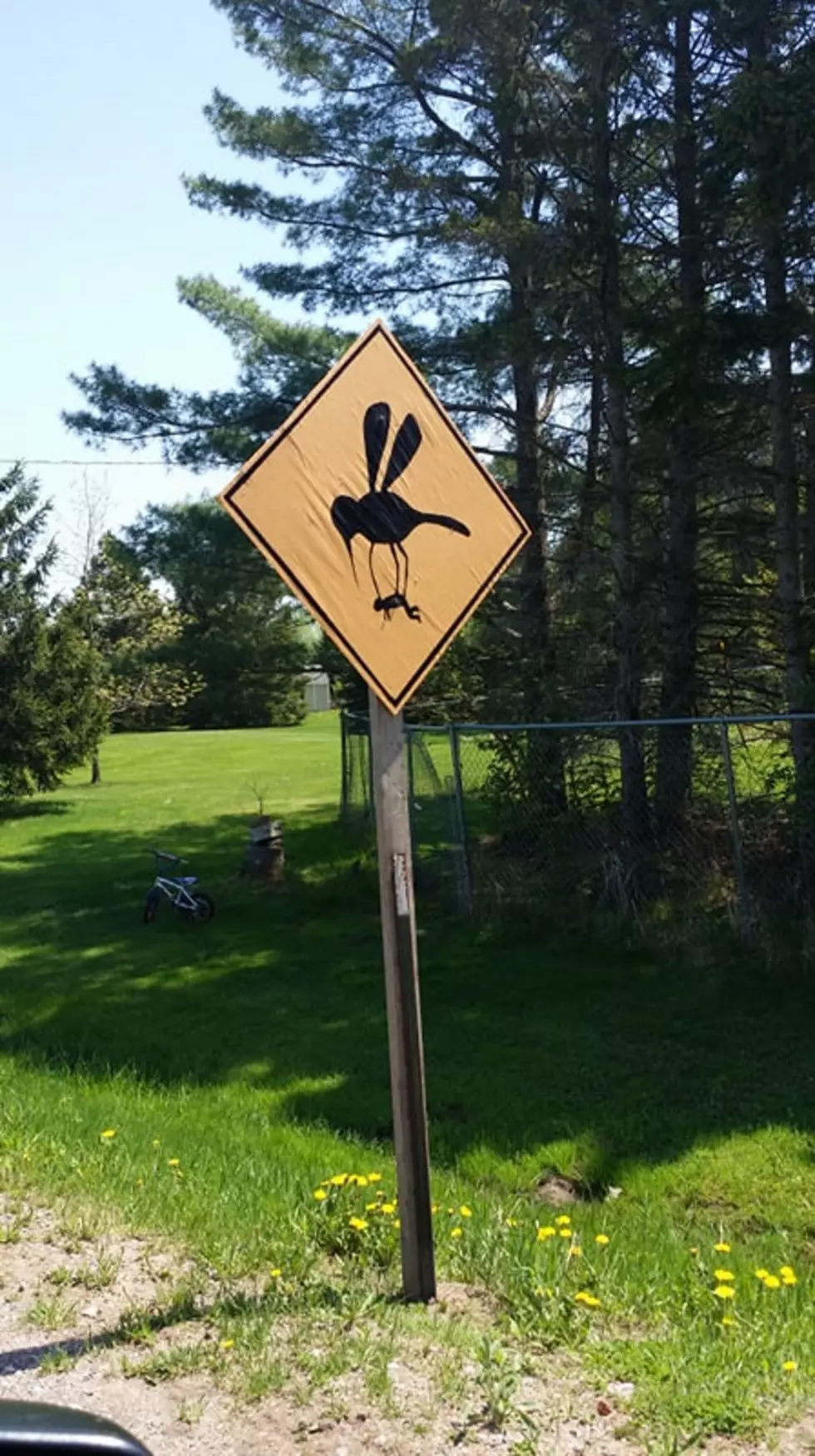 New Signs Warn of Michigan Mosquito Problem