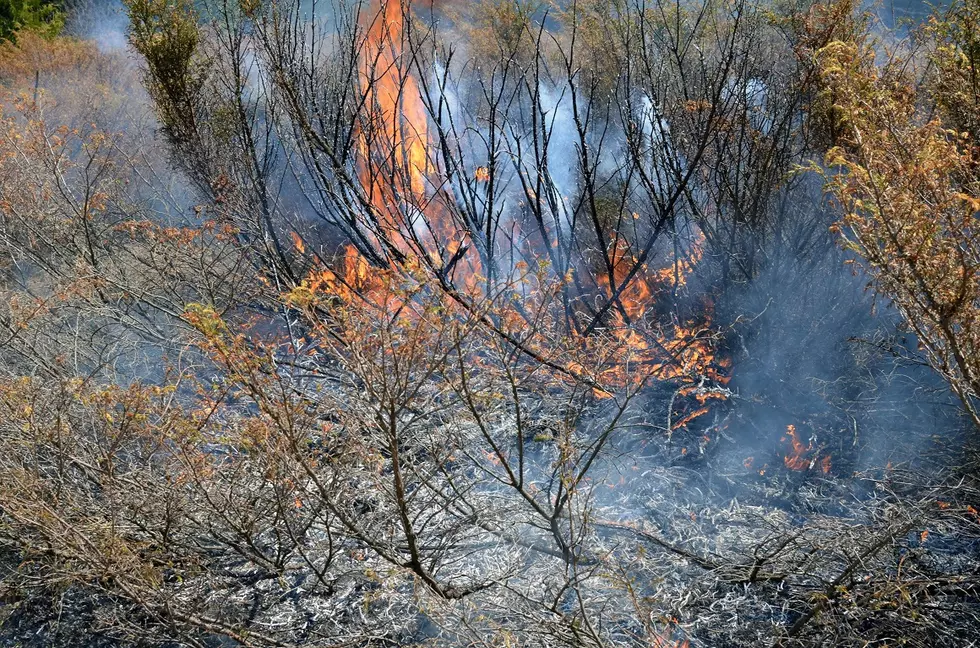 Tinder-Box Conditions in Greater Lansing Prompt Burn Bans