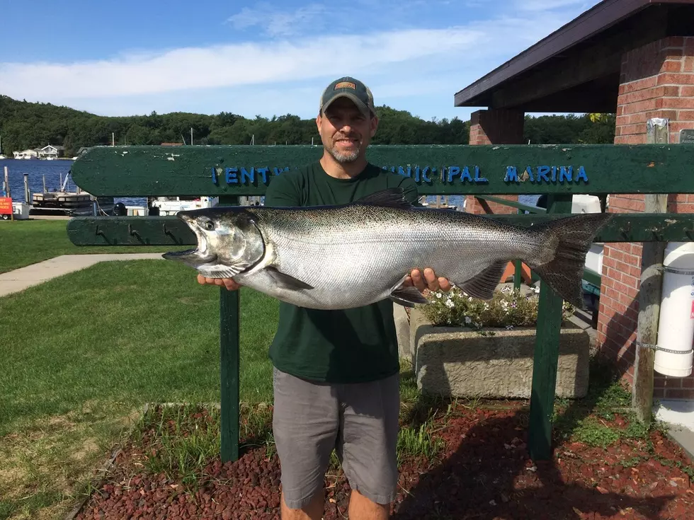 Mason Man Catches BIG Lake MI Salmon