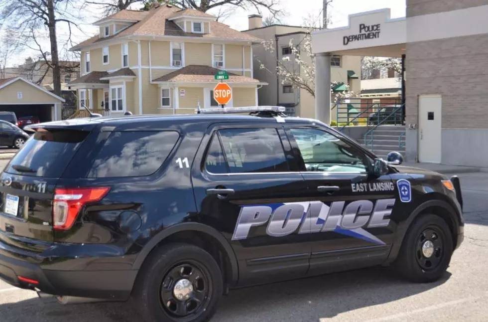 Swastika Painted on East Lansing School