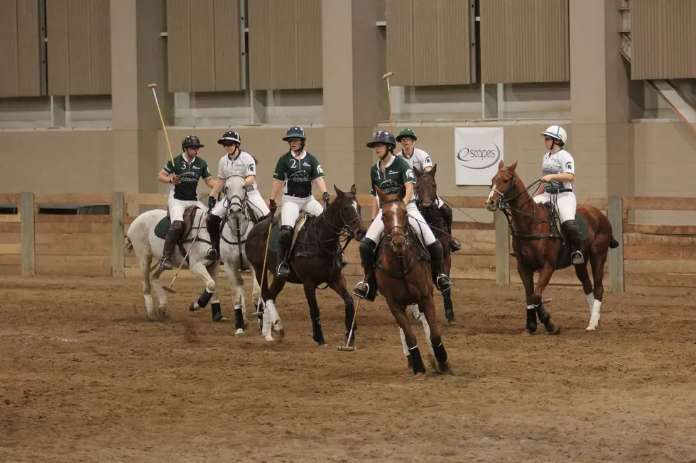 MSU Polo in East Lansing Saturday