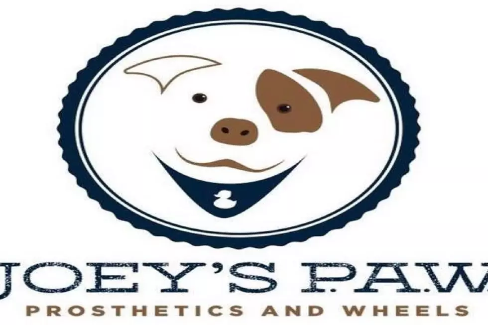 Good Pet People: Joey’s PAW Charity