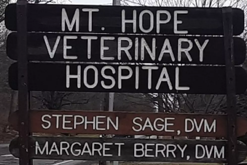 Good People: Justin Platte and The Mt. Hope Veterinary Clinic