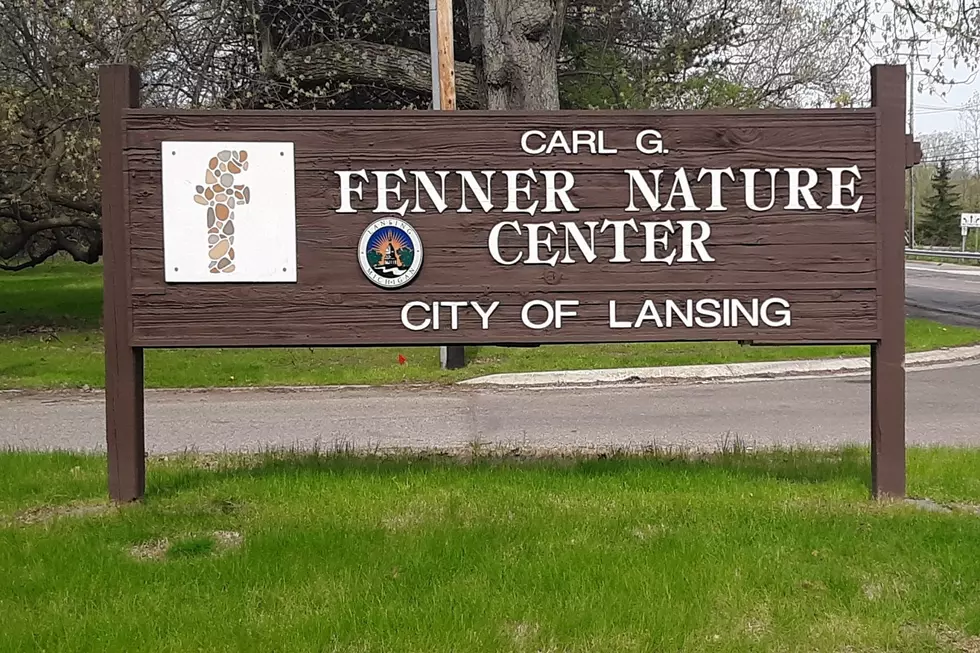 Great Places Around Lansing: Fenner Nature Center
