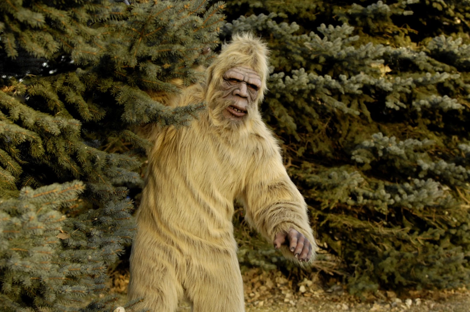 instal the new version for ios Bigfoot Monster - Yeti Hunter