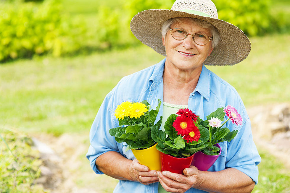 Elderly Woman Says ‘Holy S*%!’ After Receiving Flowers From Lowe’s