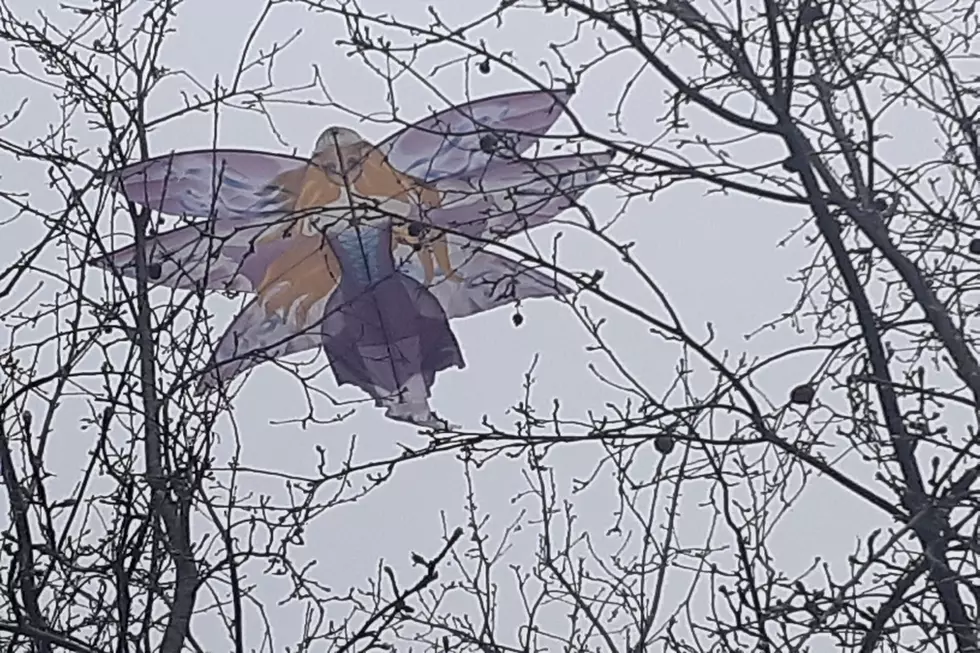 Things My Wife Was Right About Last Week: Too Windy for the Kite