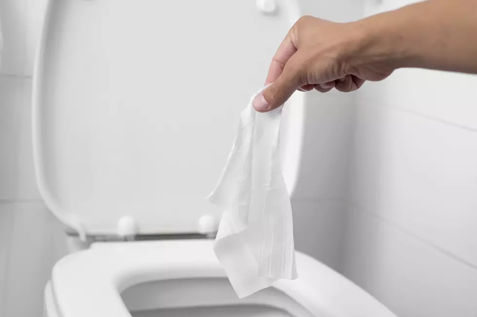 Another Reminder To Not Flush Wipes Down The Toilet