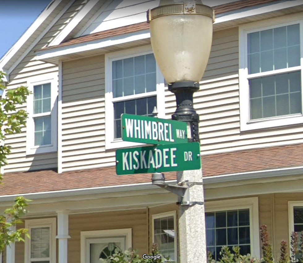 10 East Lansing Streets New MSU Students Have a Hard Time Pronouncing