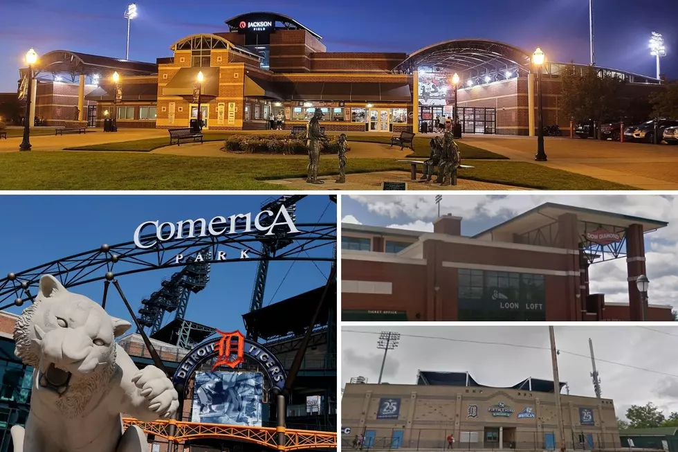 Have You Been to These Notable Baseball Stadiums in Michigan?