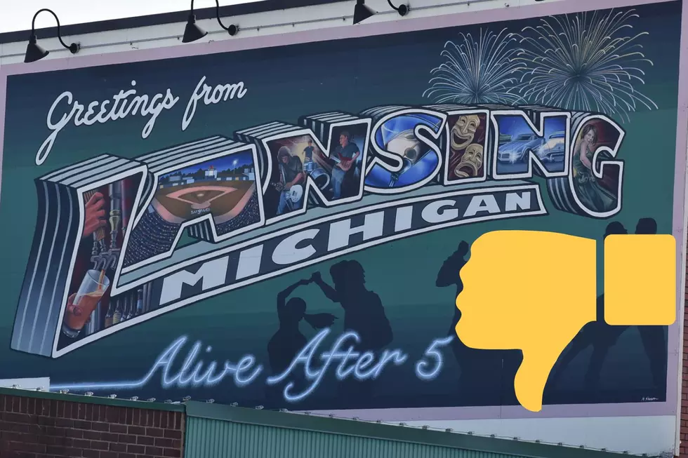 Fascinating Negative Reviews Lurking on the Web About Lansing