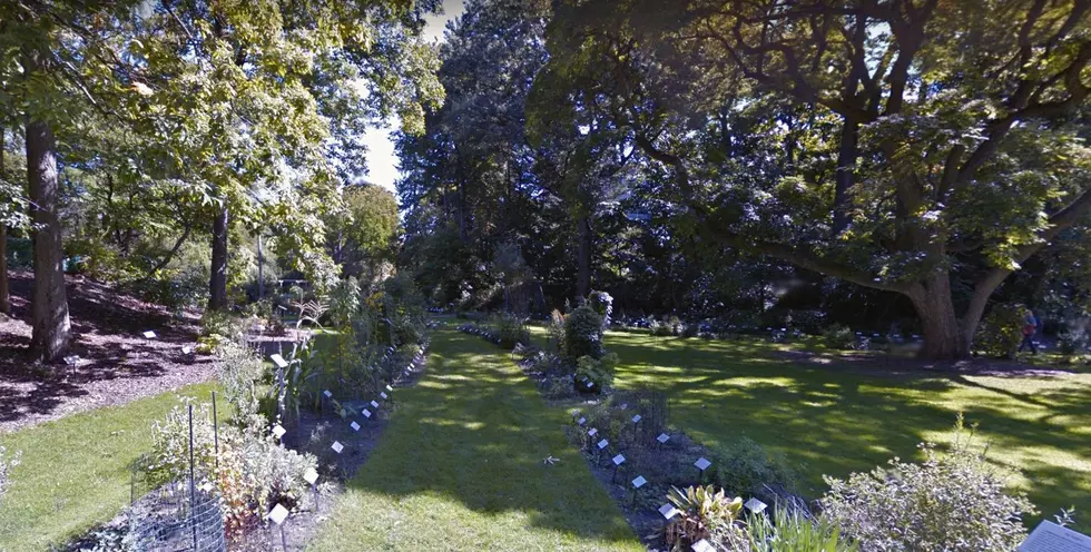 Photo Courtesy of Google Streetview