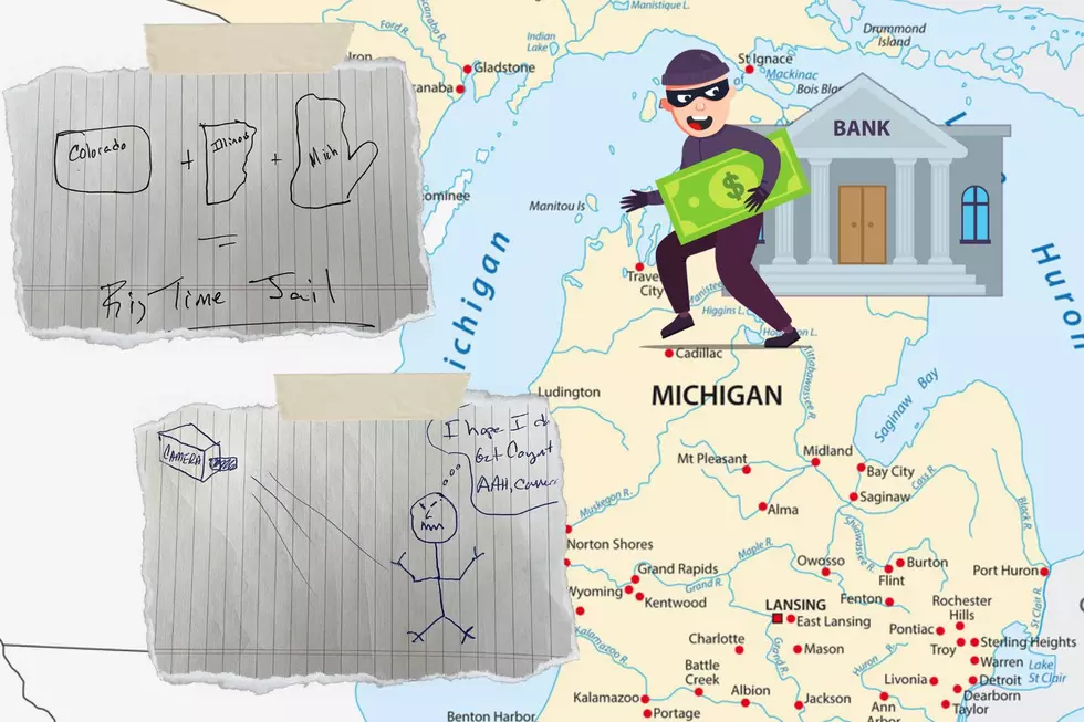 Learn About the Wildest Michigan Bank Robberies From the Past Decade