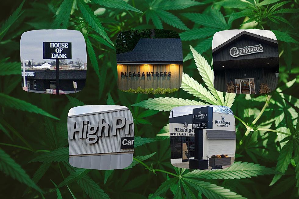 20 of the Best Names for Cannabis Shops in Michigan Ranked
