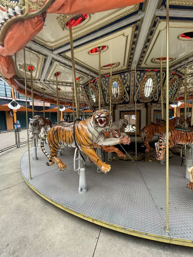 Tiger Carousel at Comerica Park  Detroit tigers, Carousel, Detroit