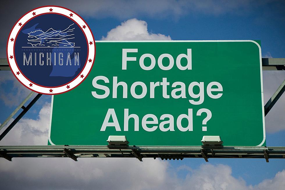 10 Potential Food Shortages You Need to Know About in Michigan