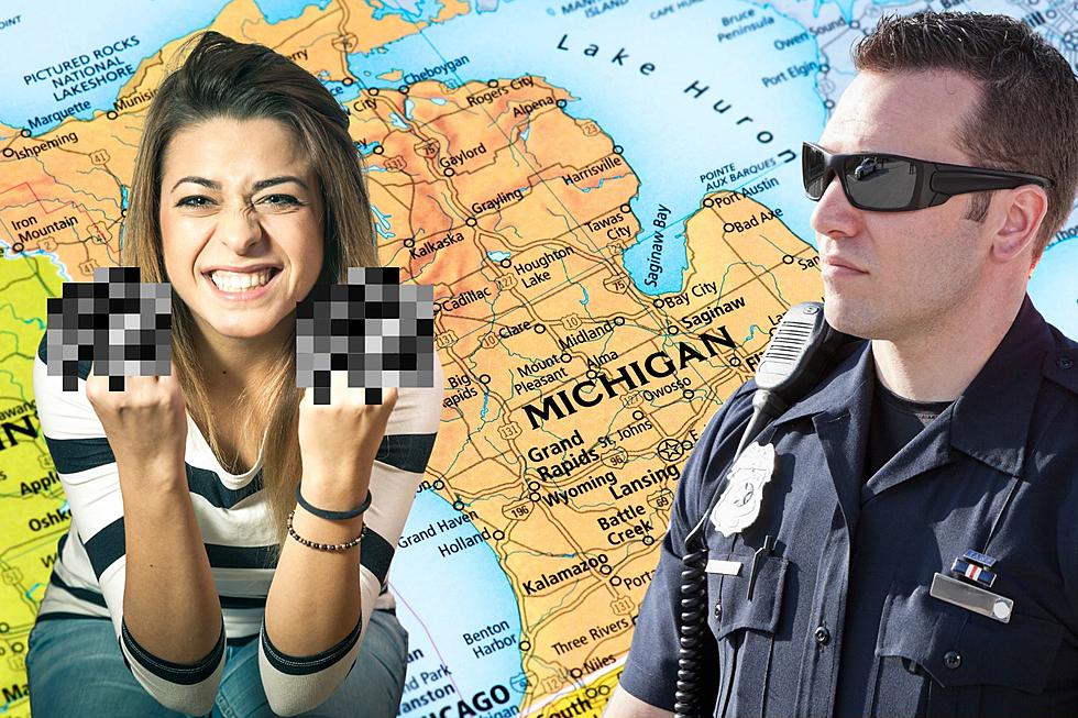 Is it Legal to Flip Off a Police Officer in Michigan?