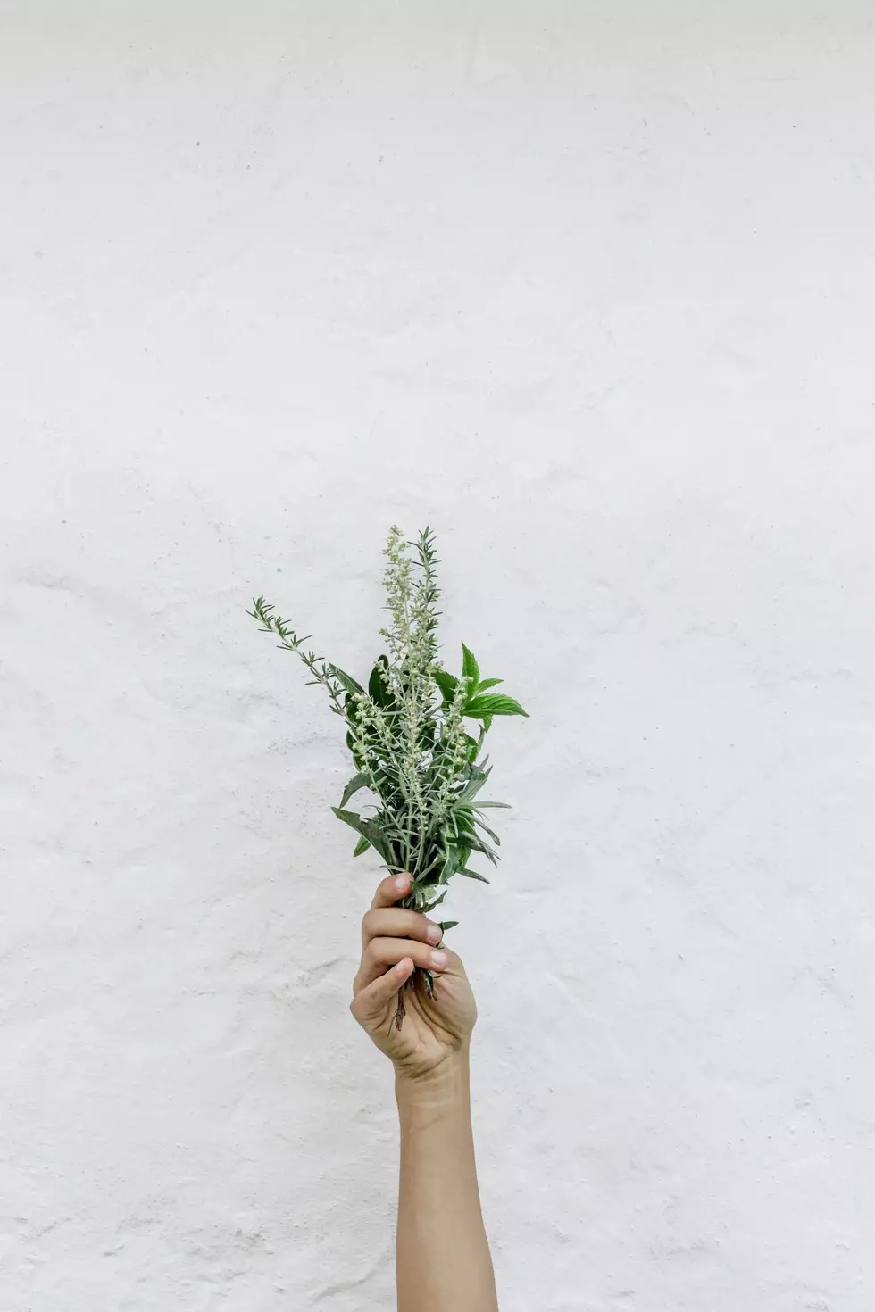Photo by NordWood Themes on Unsplash