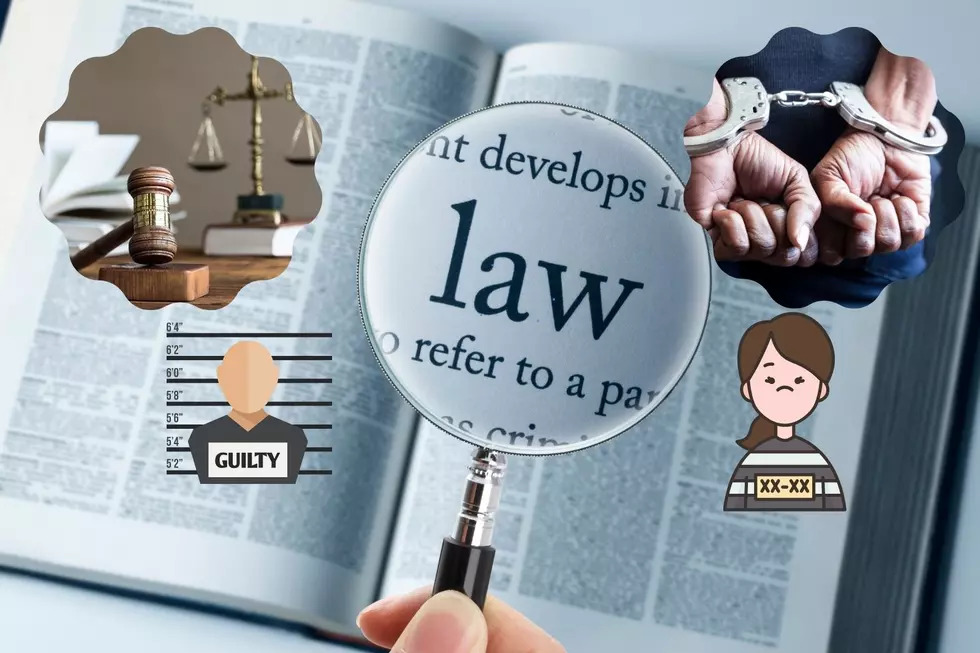 Peculiar Laws! Michigan Really Punishes Hard on Illegal Things