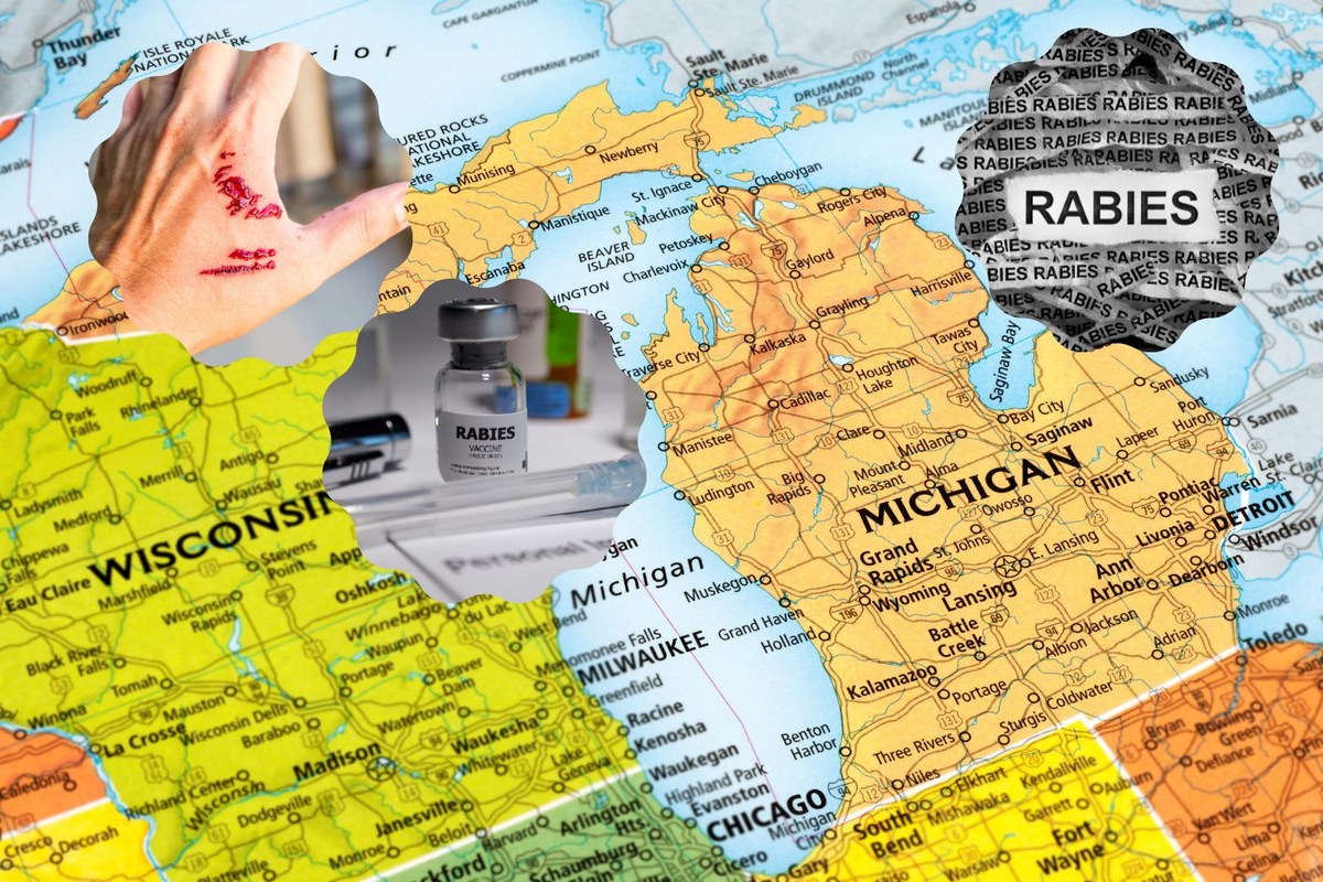 Learn About Rabies In Michigan, Live Another Day