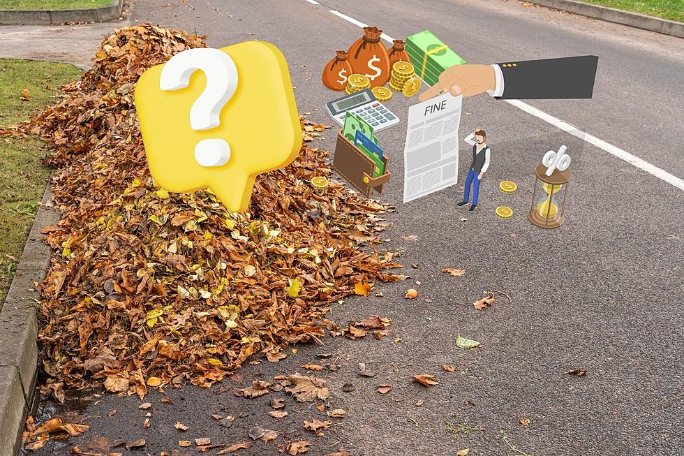 Is It Illegal To Rake Your Leaves Into The Street In Lansing?