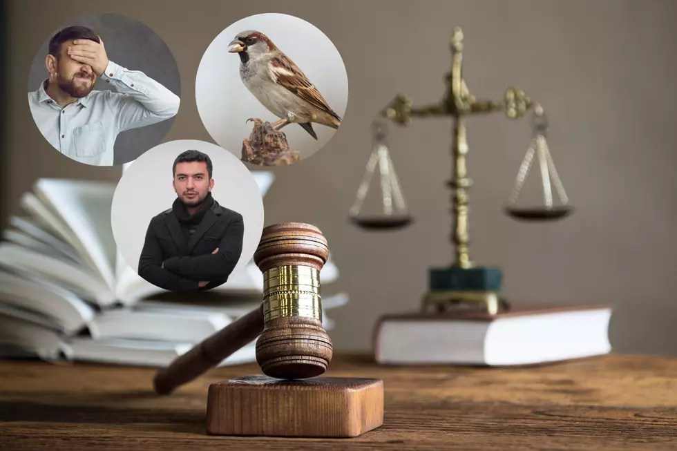 9 Really Stupid Laws That Still Survive In Michigan