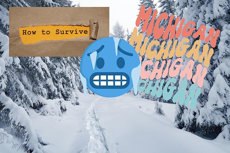 7 Tips To Survive A Michigan Winter