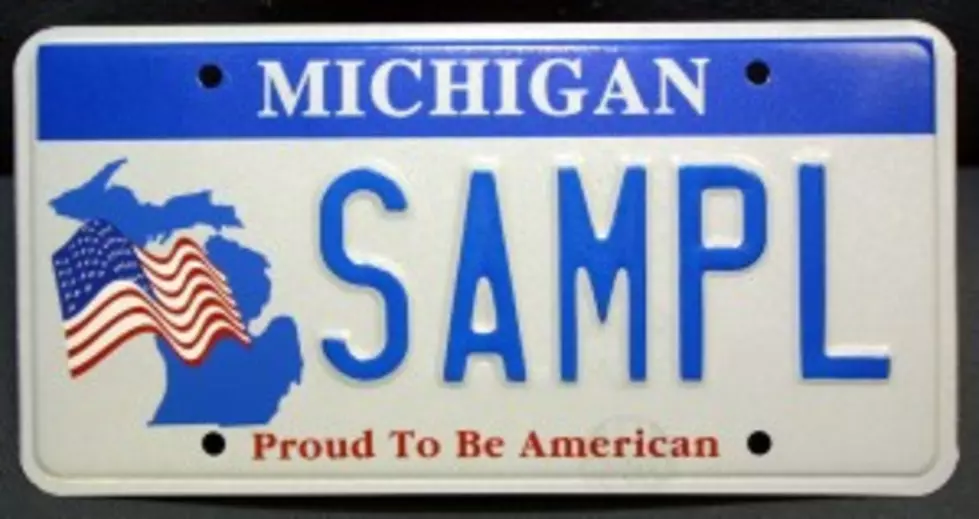 Michigan License Plate Gets A Makeover