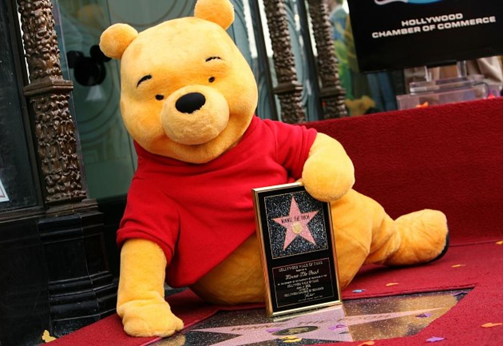 Officials In Poland Don&#8217;t Like Winnie The Pooh