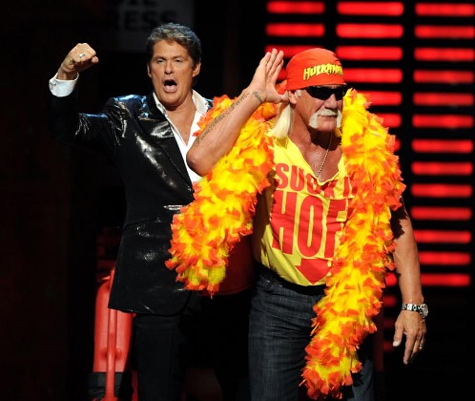 The Hoff is BACK!